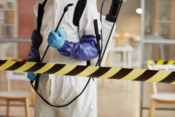Professional Odor Removal technician working in Covington, IN