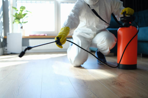 Reliable Odor Removal contractor in Covington, IN by Trauma Clean Pros